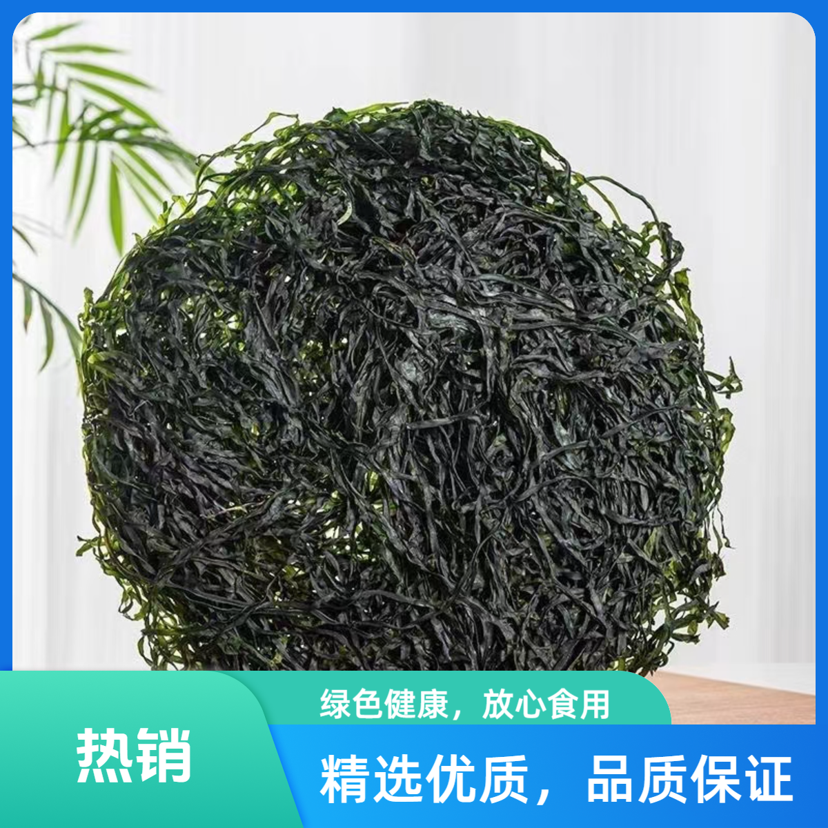 福建霞浦优质烘干海带丝宝宝辅食可选无沙免切泡发率高可凉拌清炒