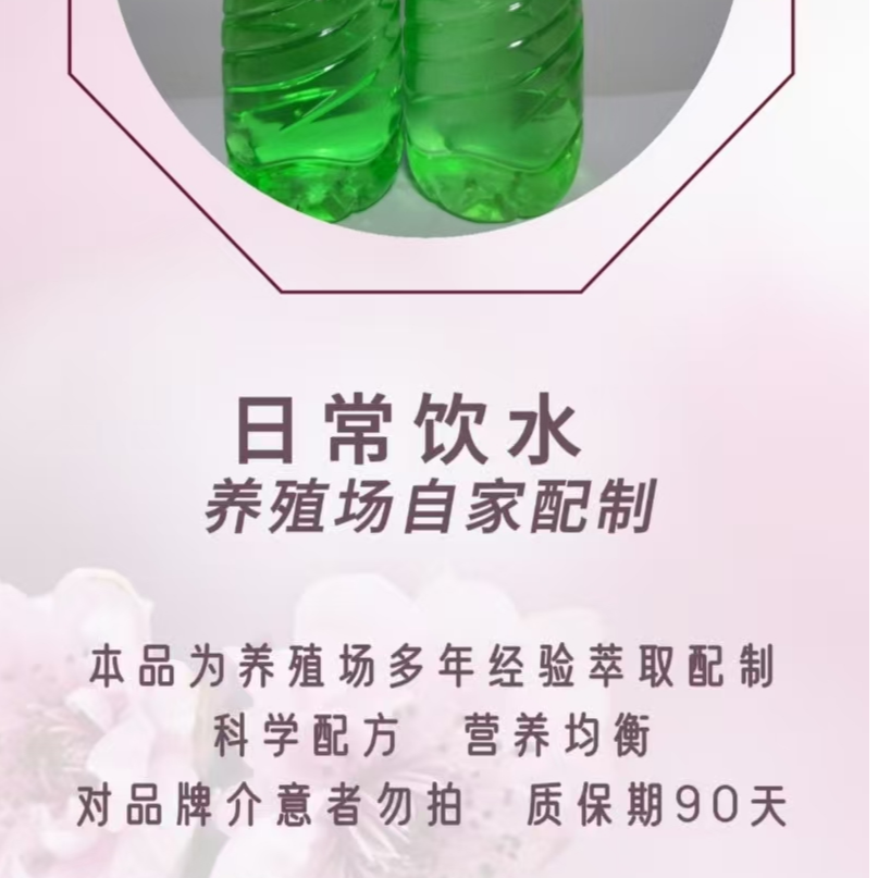 鹦鹉日常使用粮食搭配