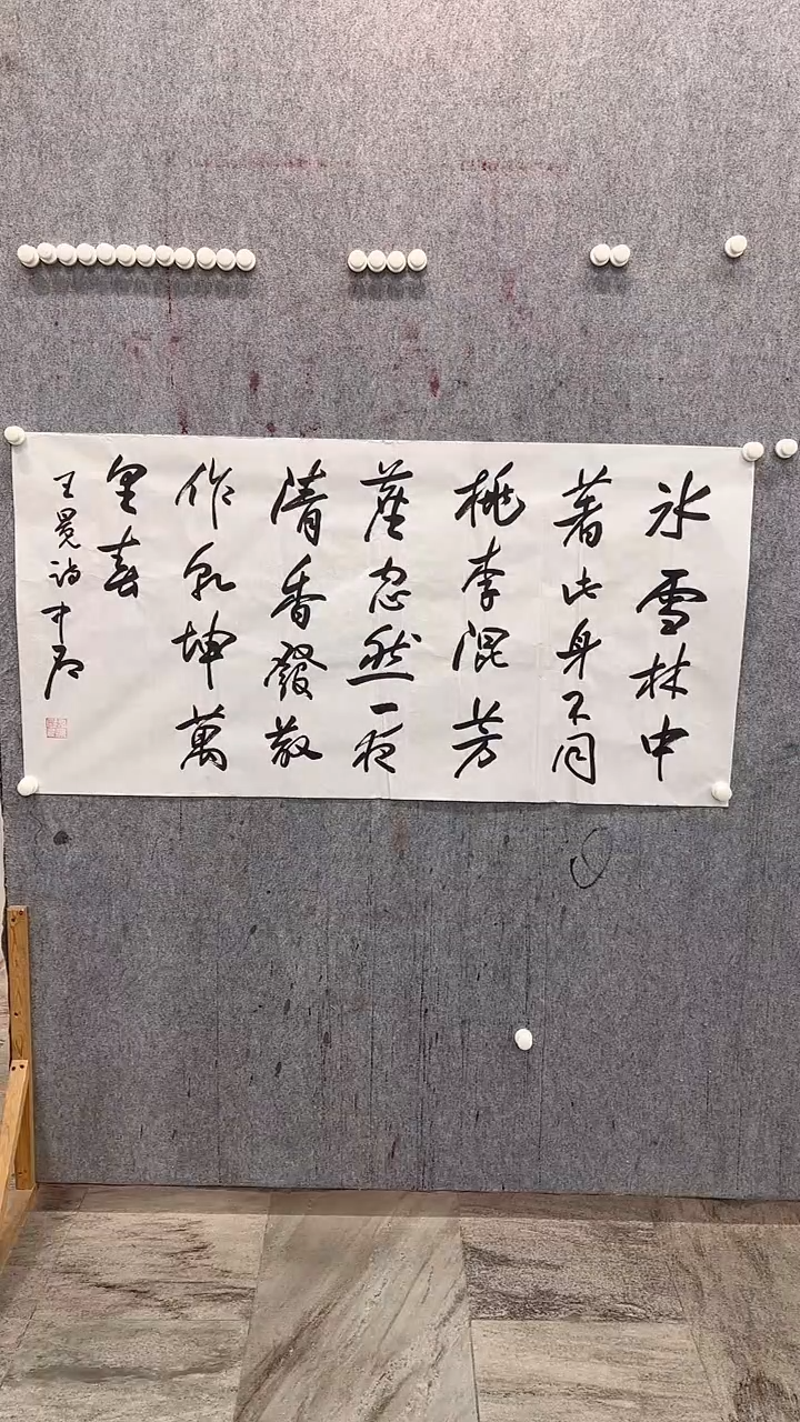 【闪购商品】书法书法书法书法53