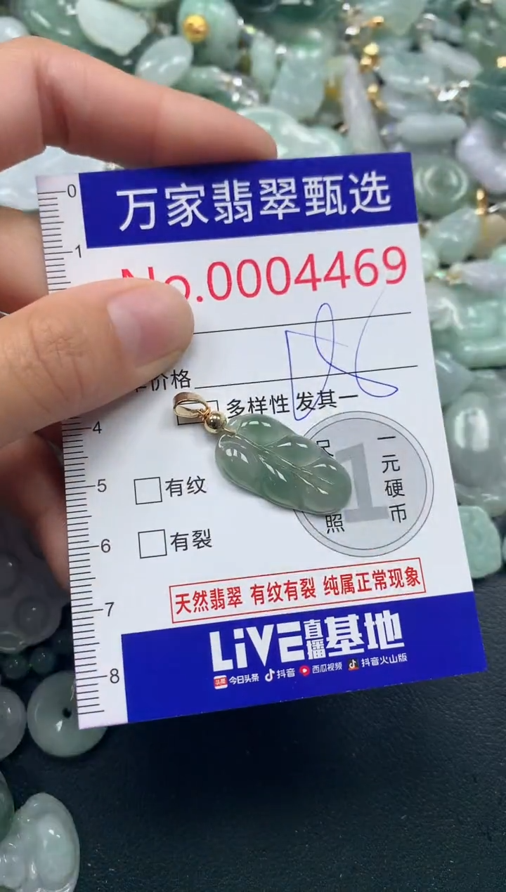 吊坠(不含链)未镶嵌翡翠4469