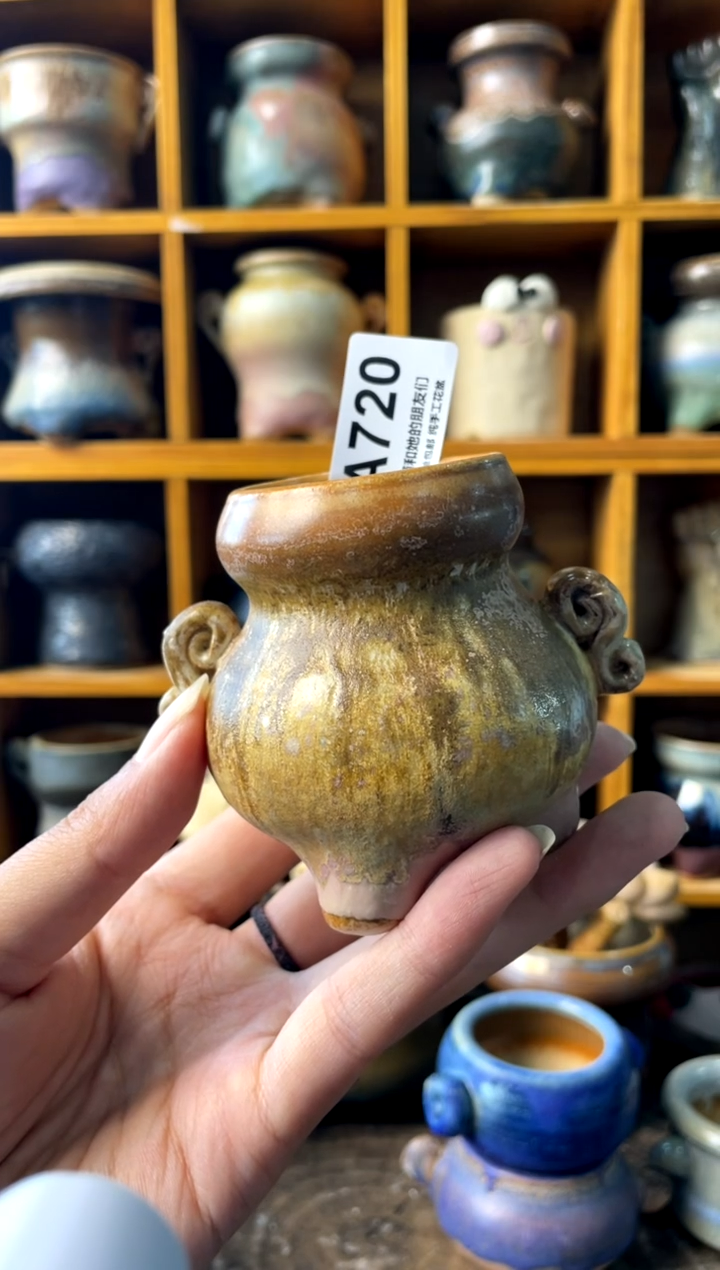 720内口4【多肉花盆多肉盆】1