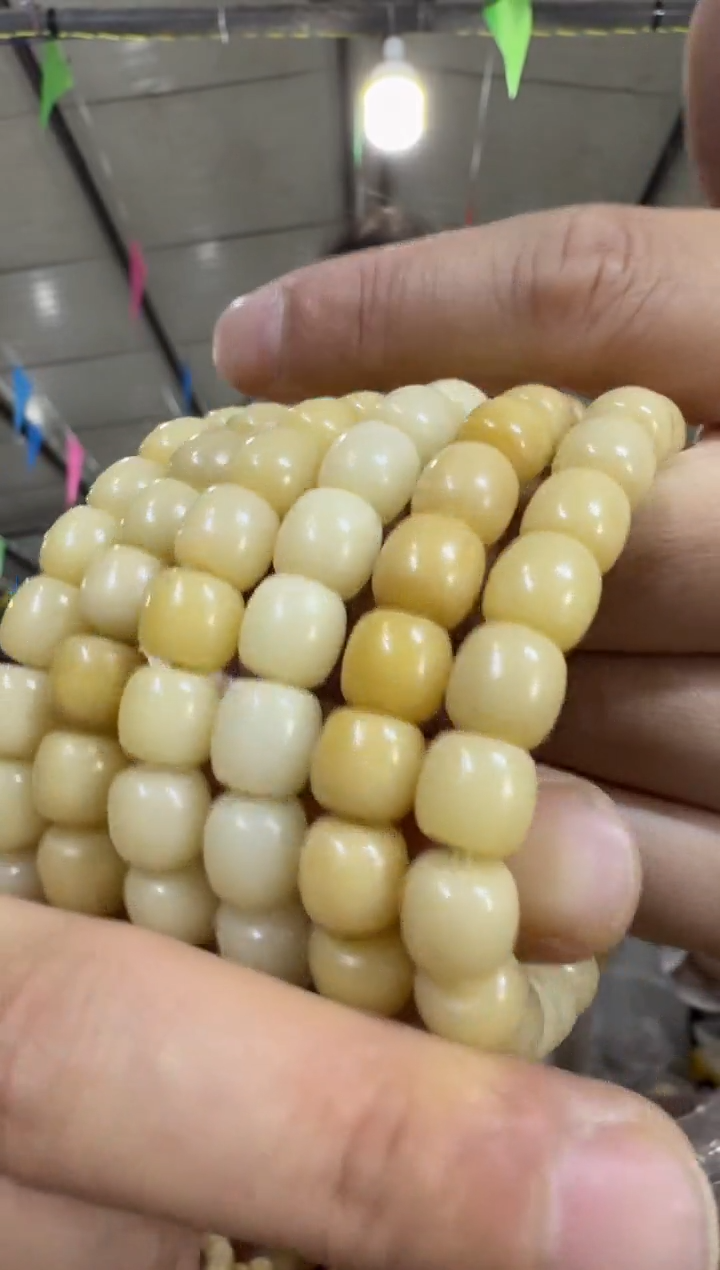 菩提根/象牙果手串a51实物为准