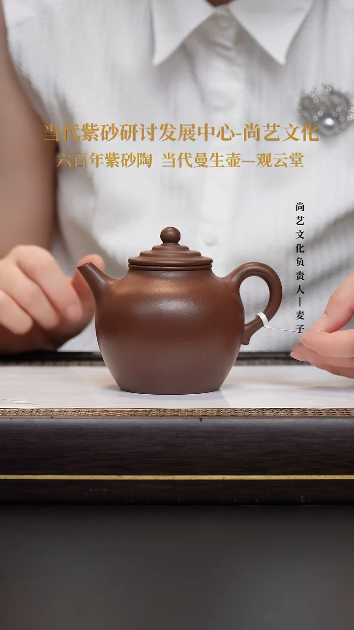 茶壶紫砂冰窖底槽青 秋水壶 FWH