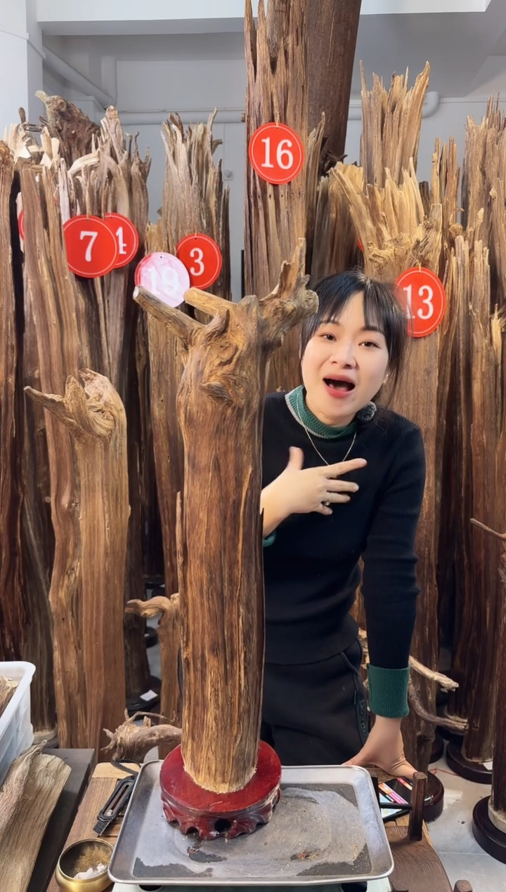 【闪购商品】沉香摆件沉香摆件多样性发一件71