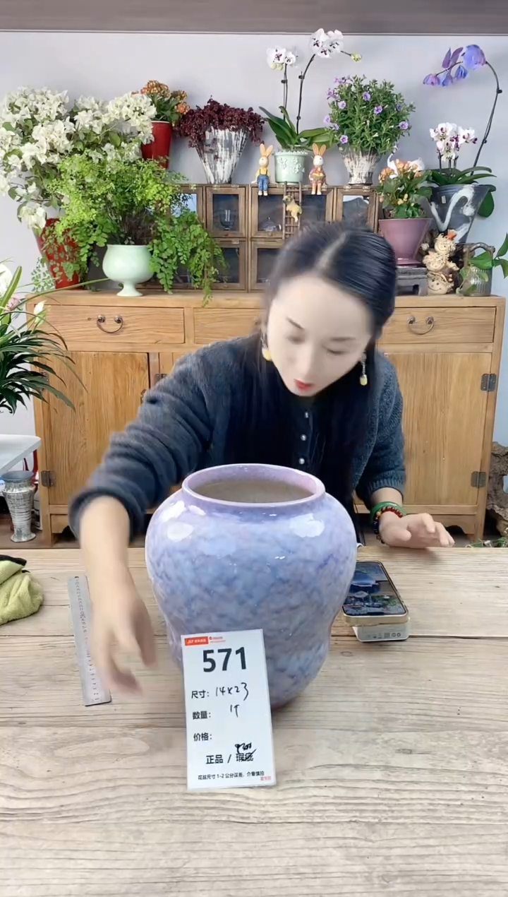 小玩子花盆直播编号571