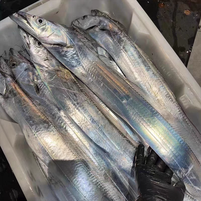 （2）【2条装超大大大刀鱼】深海钓带深海刀鱼带鱼   （顺丰包邮）带鱼同城送