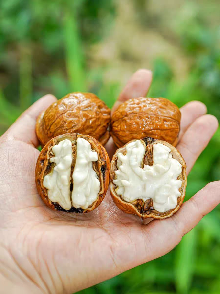 （顺丰快递）大凉山去青皮新鲜新鲜湿核桃核桃