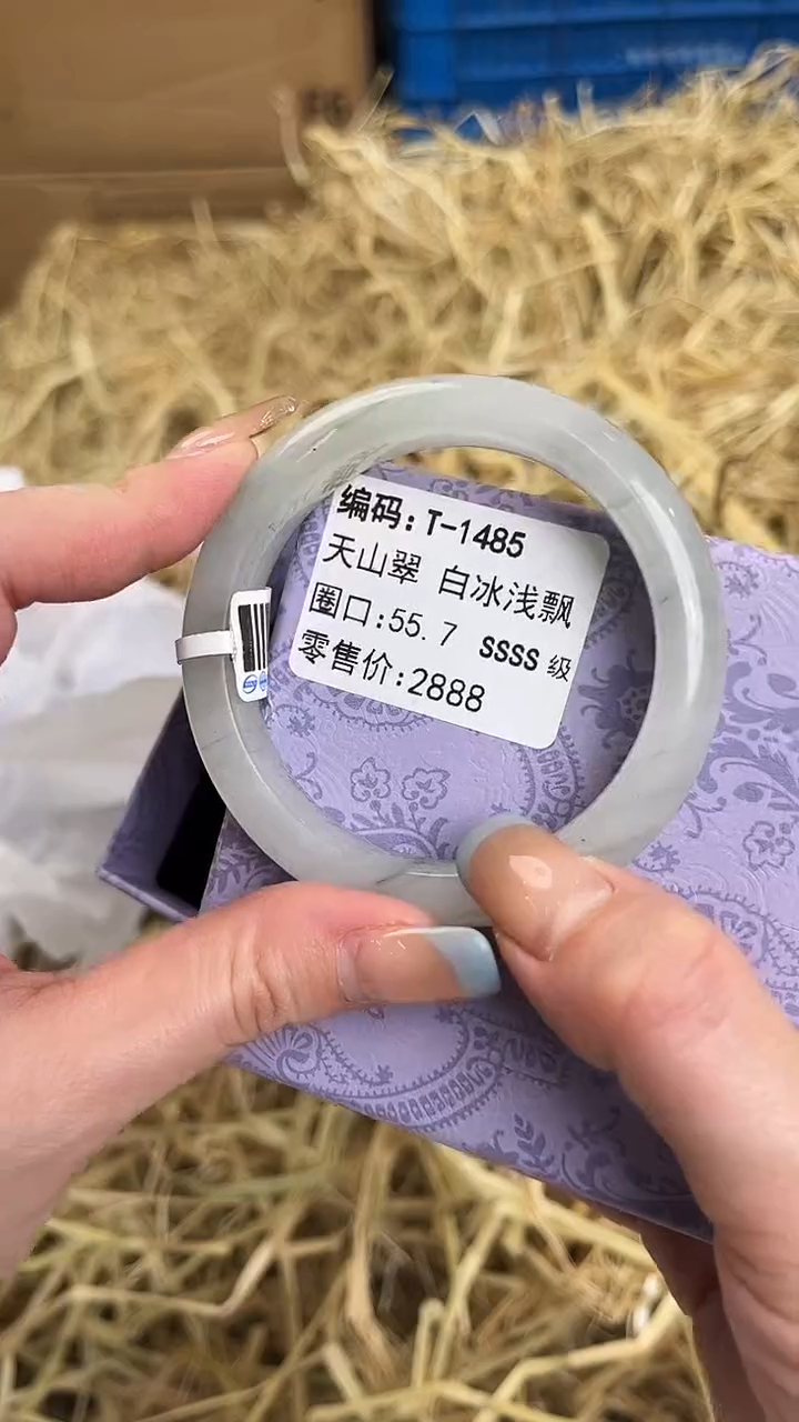 未镶嵌手镯石英质玉T-1485