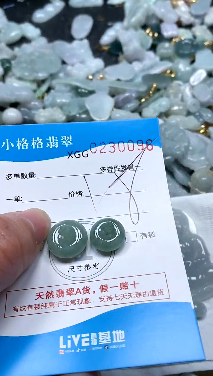 【闪购商品】翡翠颈饰未镶嵌闪购商品0230096