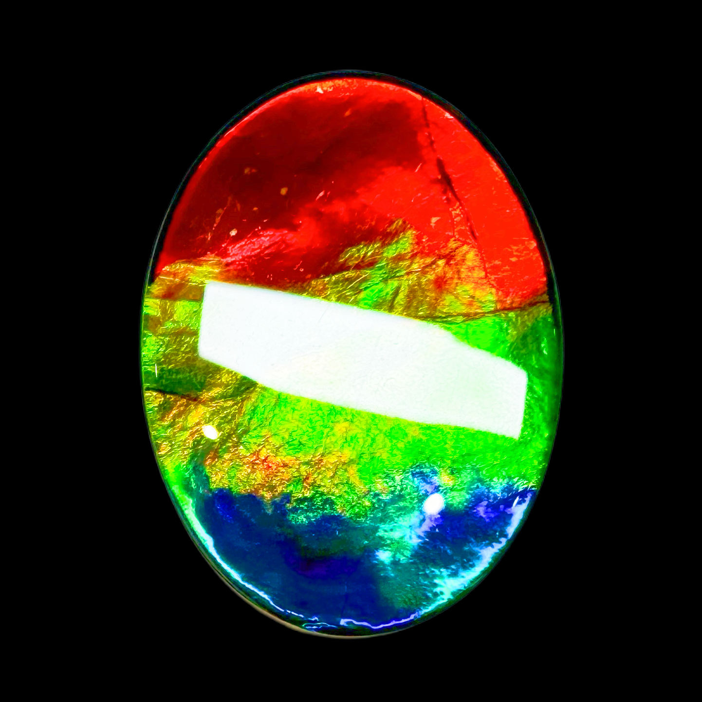 【斑彩】29.5mm 三色 加拿大 原石 古贝壳 N-36 BC E8