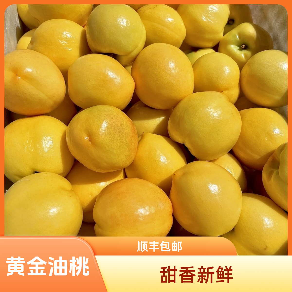 【顺丰包邮】黄金油桃2-5斤桃子黄油桃香甜黄桃鲜果桃子同城送辽宁省