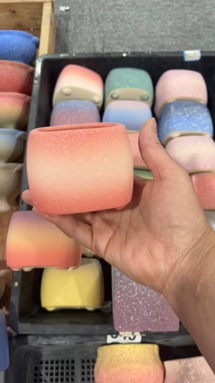 【闪购商品】红陶6*6