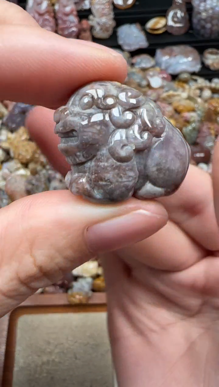 颈饰未镶嵌硅化珊瑚（珊瑚玉）871