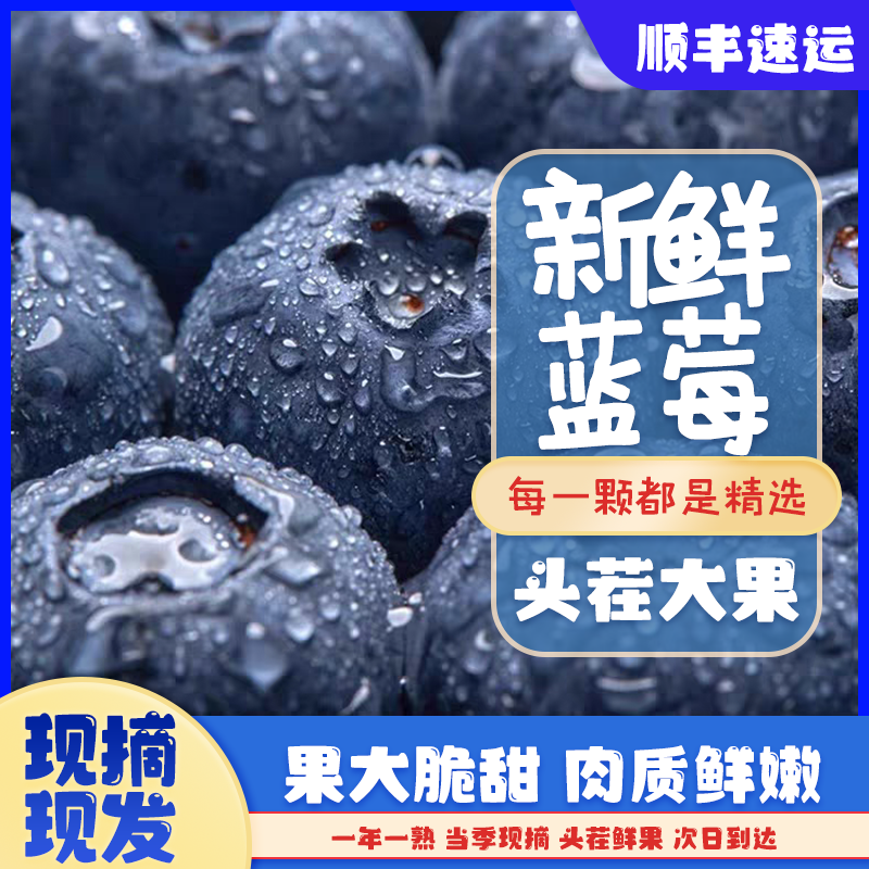 【25/一箱】丹东脆甜蓝莓黑莓 17-12mm头茬 中大果 脆甜 蓝莓400g/1箱辽宁省