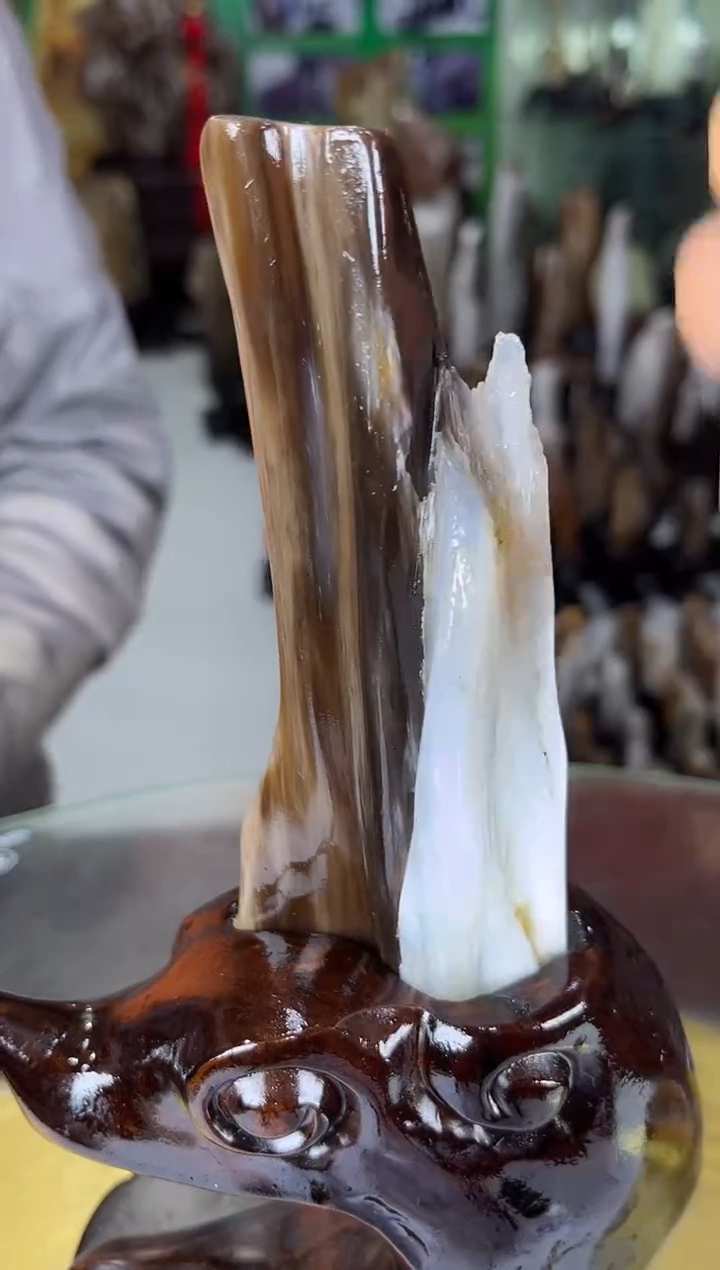 未镶嵌珠宝奇石硅化玉缅甸天然树化玉摆件