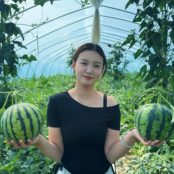 【京东包邮】麒麟西瓜有籽无籽随机发、现摘现发、自家果园、