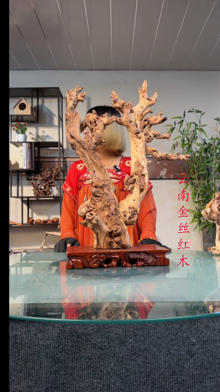 木仙*掌金丝红木金丝红木368