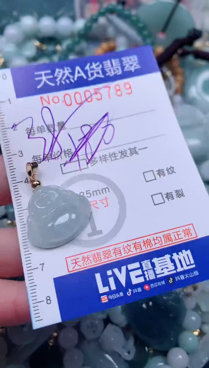 【闪购商品】翡翠颈饰未镶嵌00005789