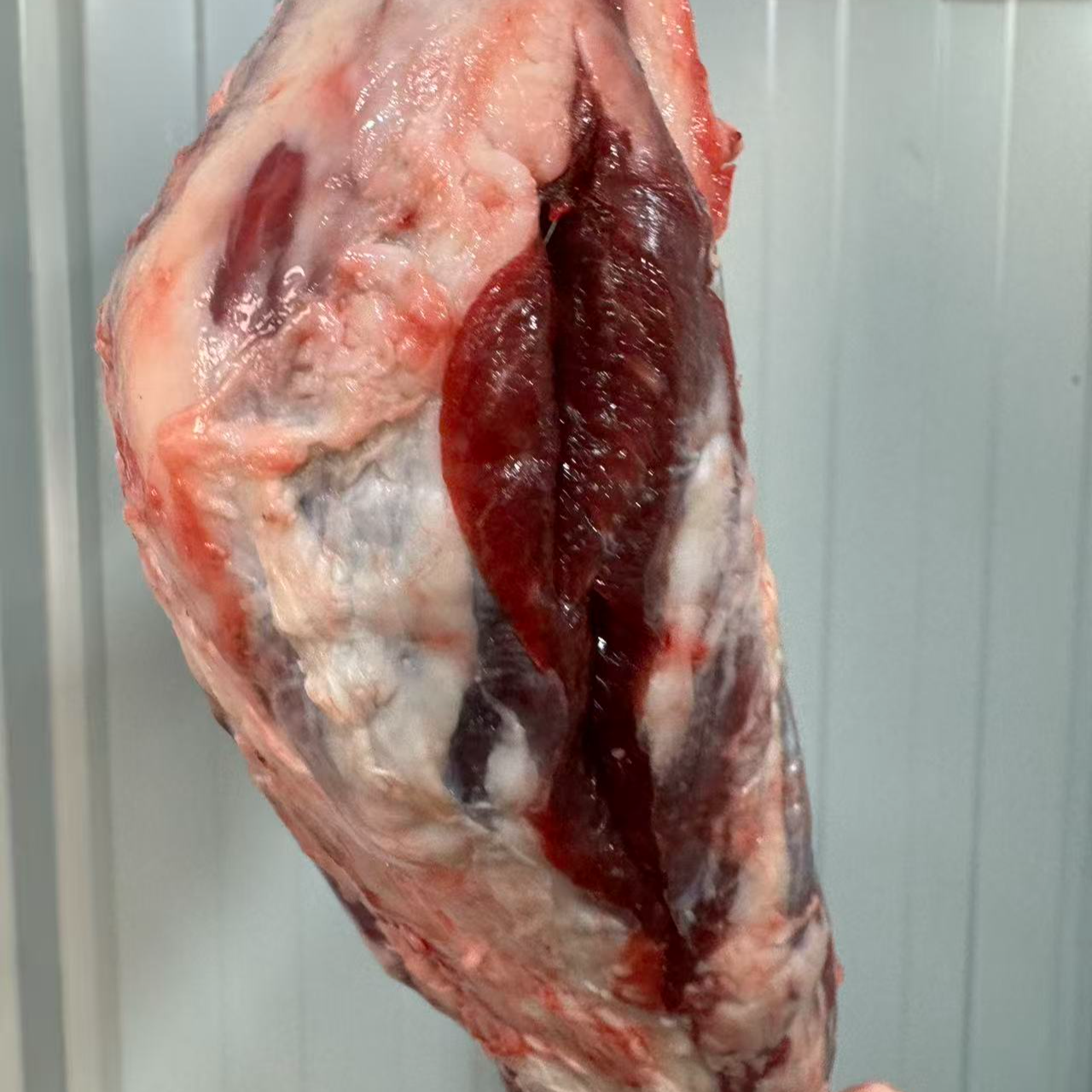 四年新鲜不注水黄牛肉（金钱腱）净重顺丰冷冻发货