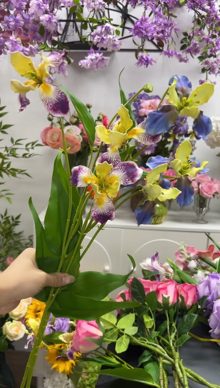 2枝混色鸢尾花花