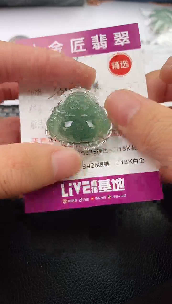 翡翠银S925镶嵌颈饰·