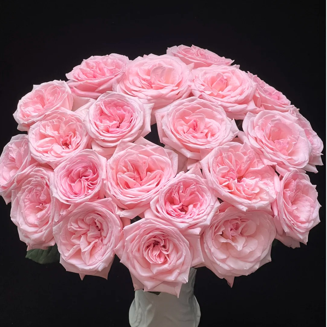 粉荔枝【浓香单头】网红花不耐运输，请凑单升级快递保护花花