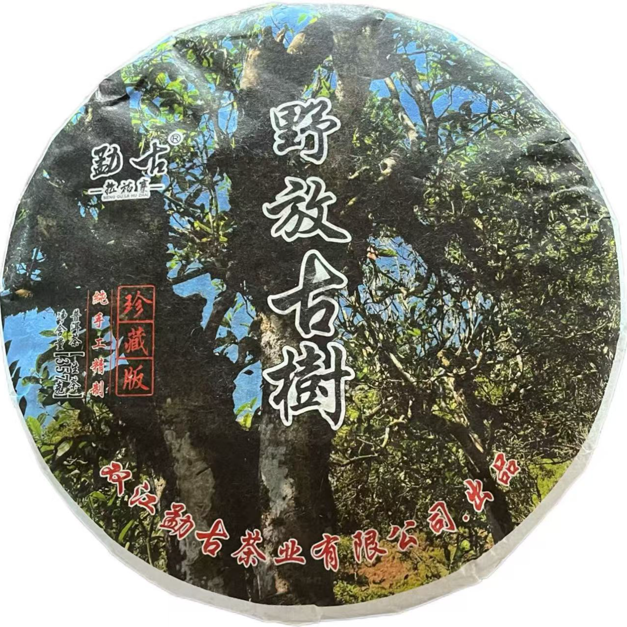 2024年头春野放古树普洱生茶饼357g