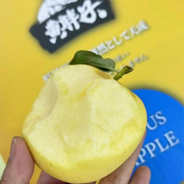 黄胖子苹果 维纳斯脆甜苹果山东省
