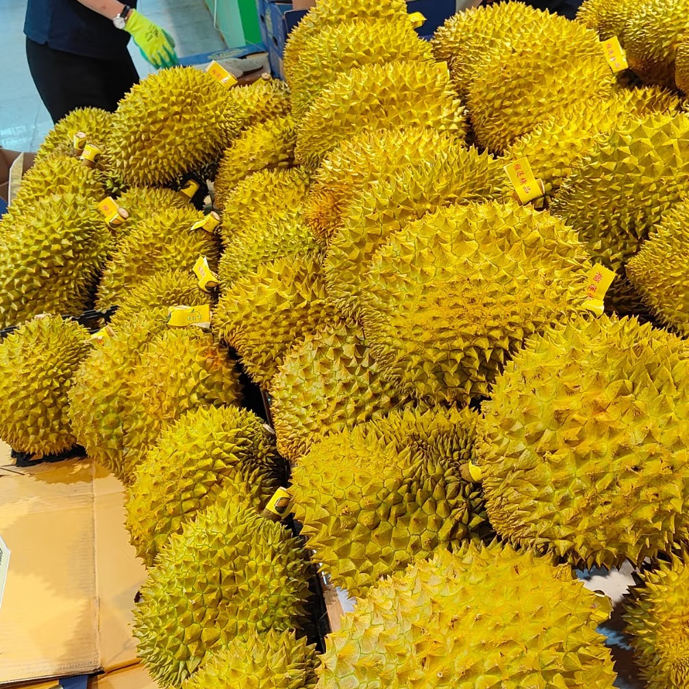 整果-泰国空运暹味树熟金枕榴莲（89元/斤)鲜榴莲验货每斤核小   北京水果同城配送小时达金枕泰国