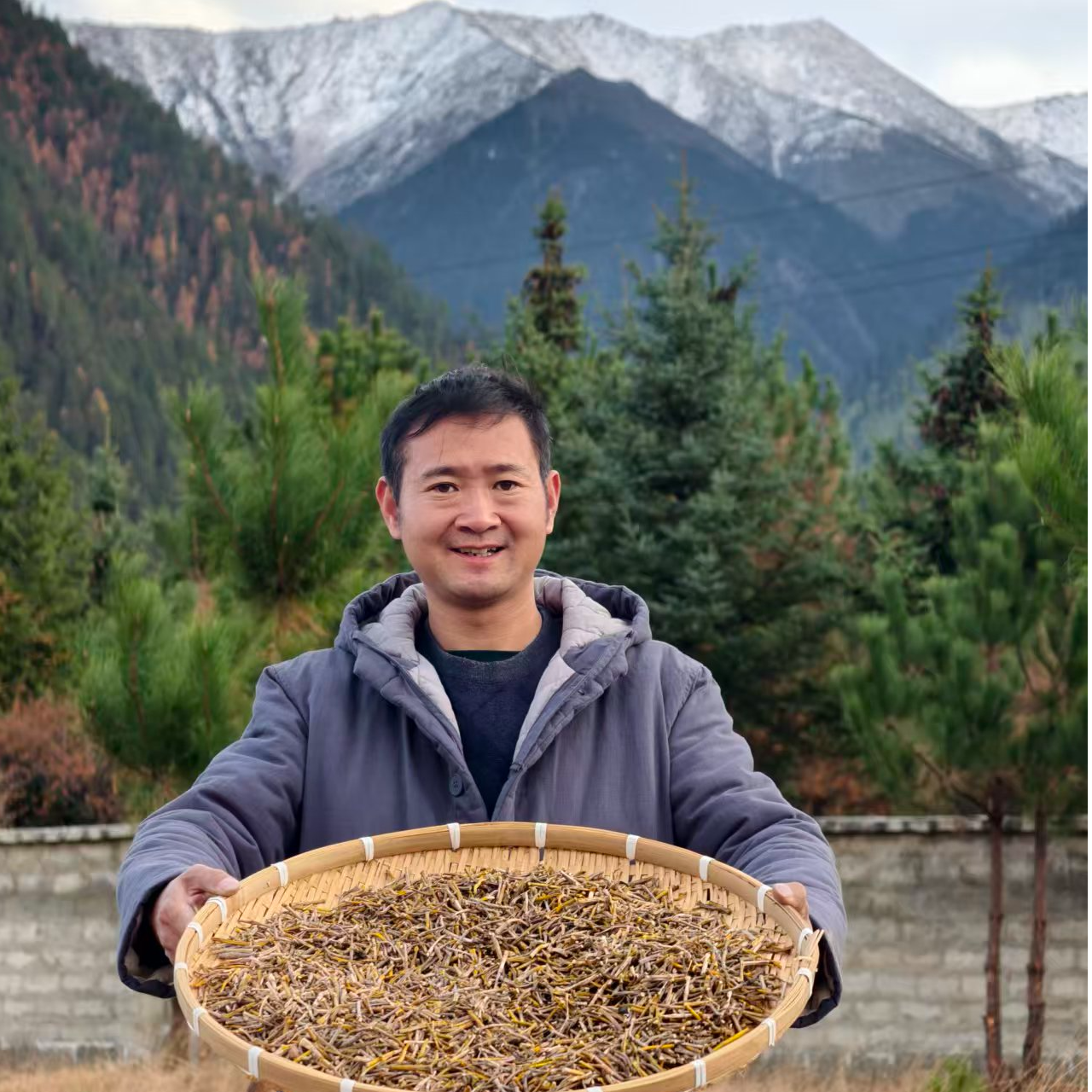 墨脱新鲜紫皮石斛