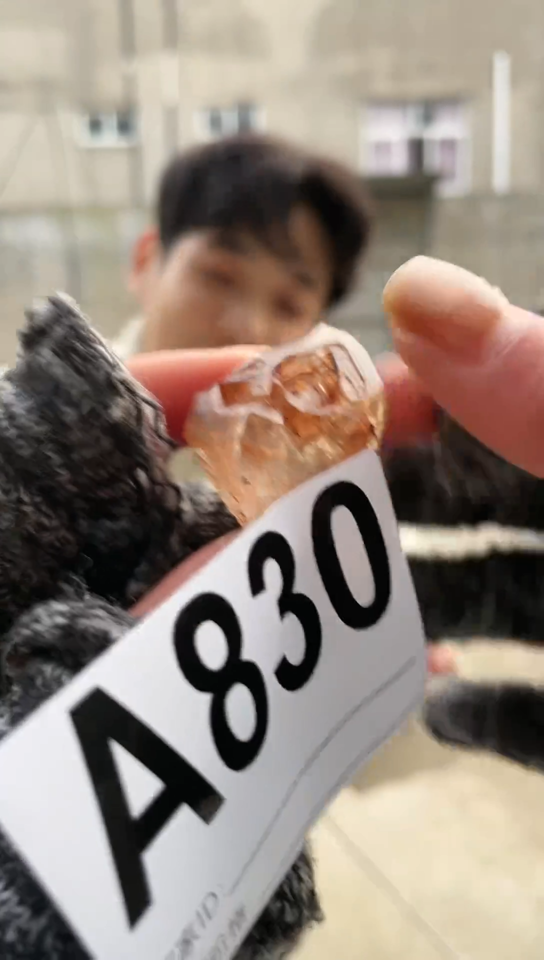 【闪购商品】水晶摆件未镶嵌红泥骸骨  830