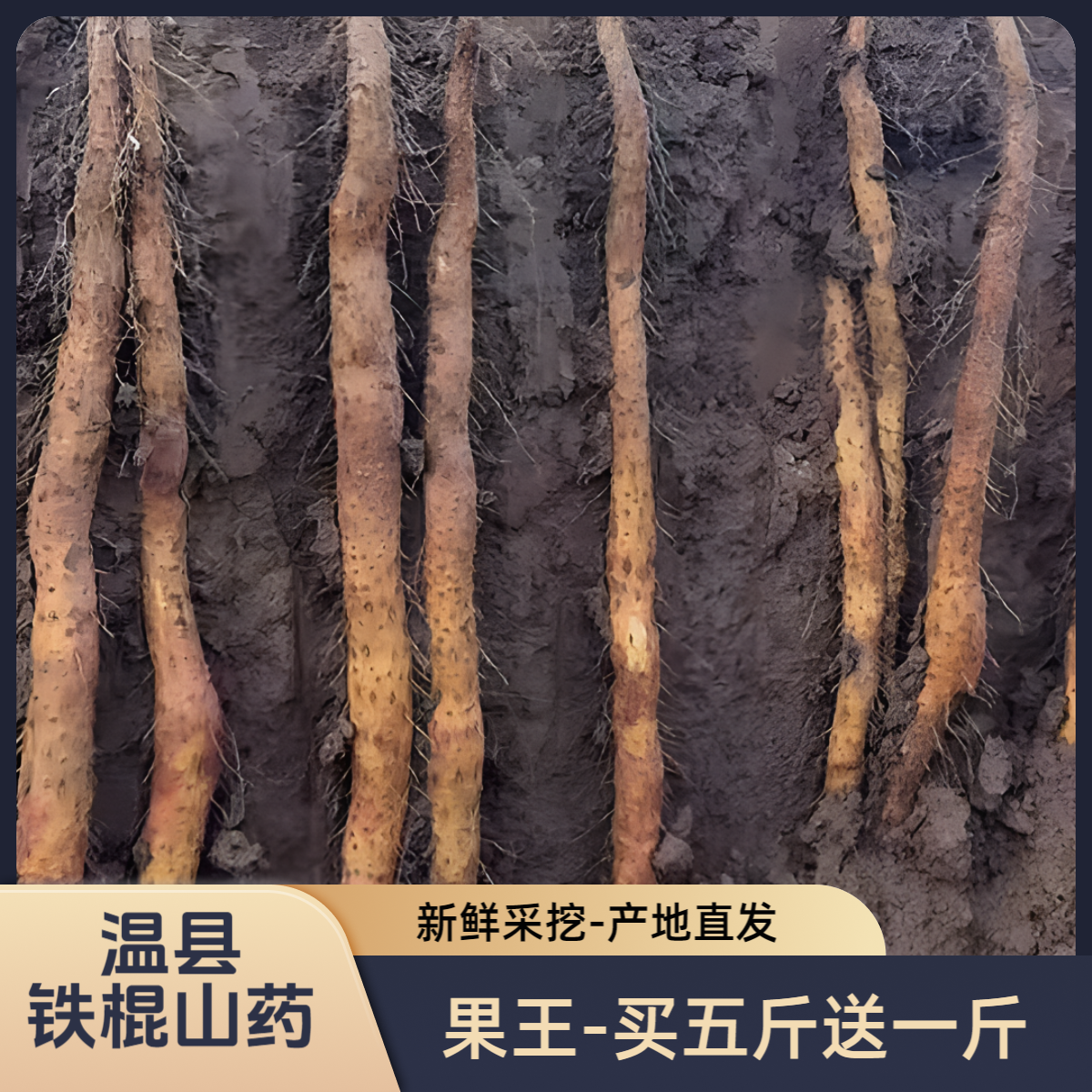 正宗温县垆土铁棍山药温县产地直发怀山药软糯山药正宗铁棍山药