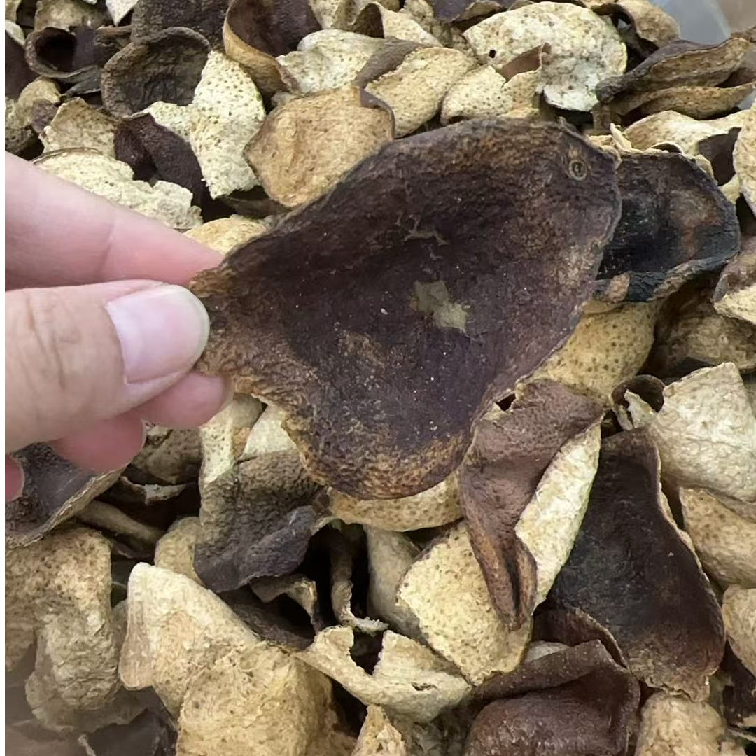 宝珠甄选-新会天马陈皮2021年断片