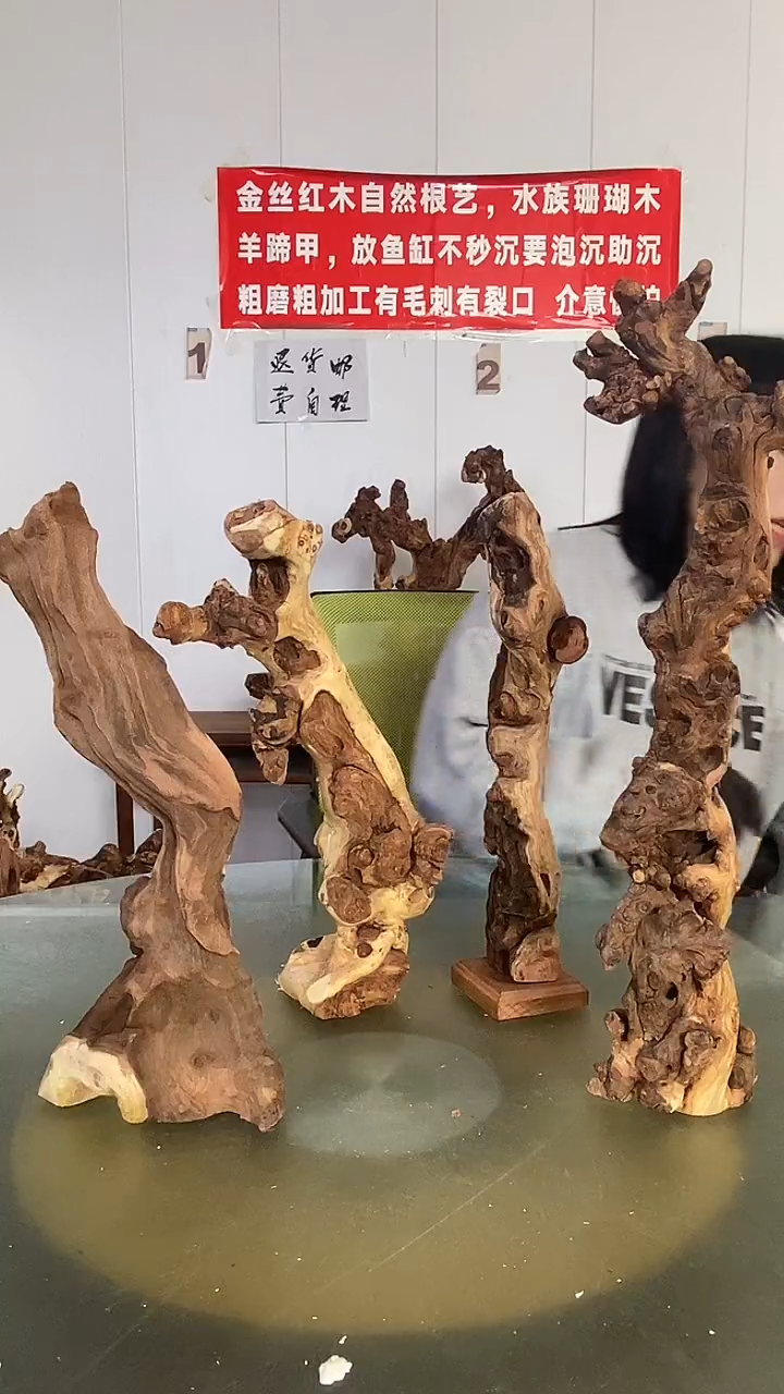 木冰*金丝红木  羊蹄甲