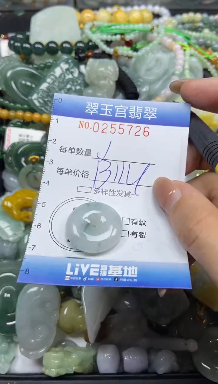 颈饰未镶嵌翡翠闪购C0255726