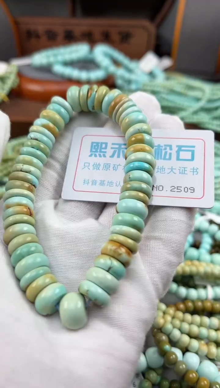 【闪购商品】绿松石松石未镶嵌2509