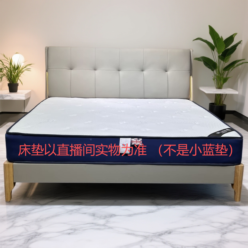【十全十美】轻奢极简皮艺床主卧室现代简约婚床双人床软包床ST-555