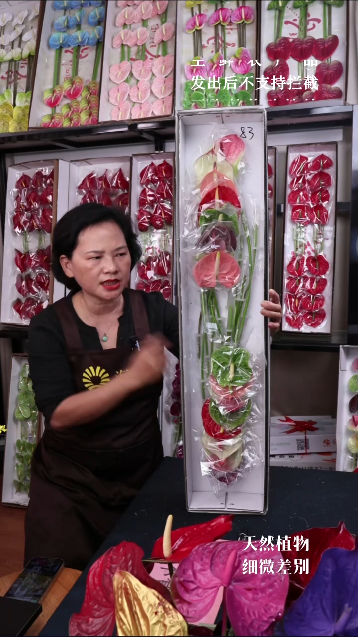 83混色彩掌16支小掌，微瑕无售后