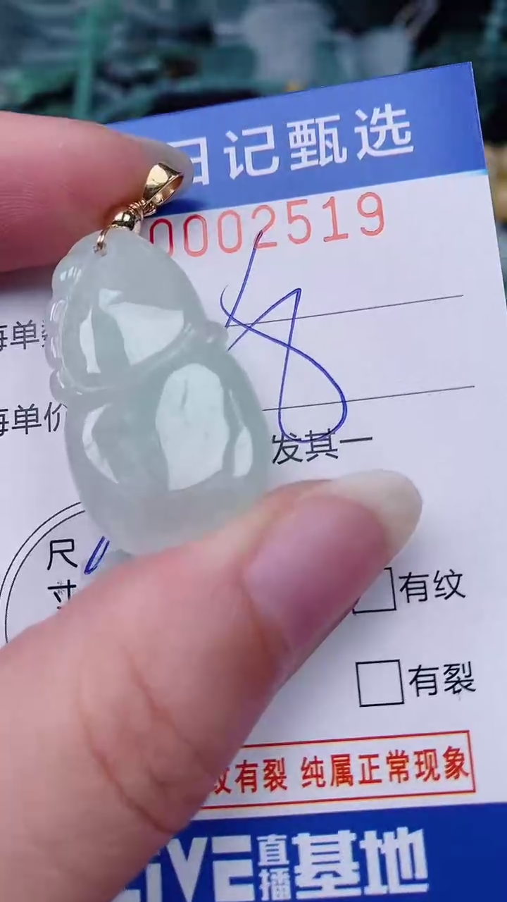 翡翠未镶嵌颈饰00002519