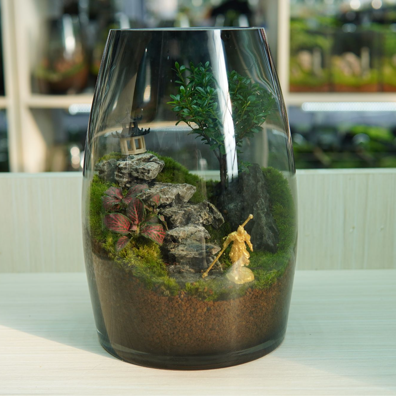 B6苔藓微景观大椭圆缸孤品（24*15）