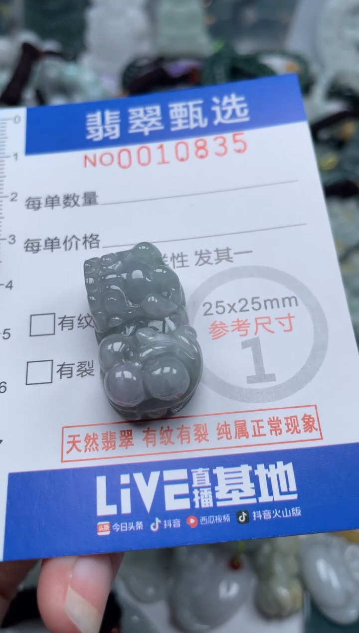 颈饰未镶嵌翡翠10835