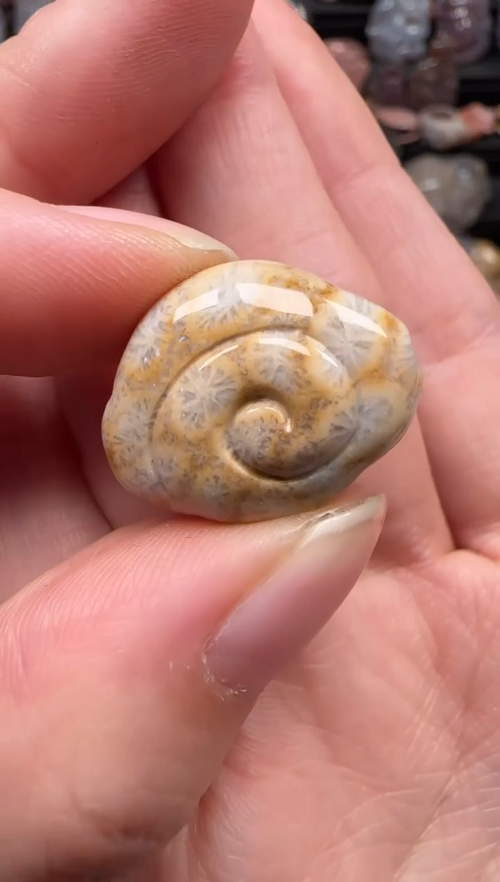 颈饰未镶嵌硅化珊瑚（珊瑚玉）775