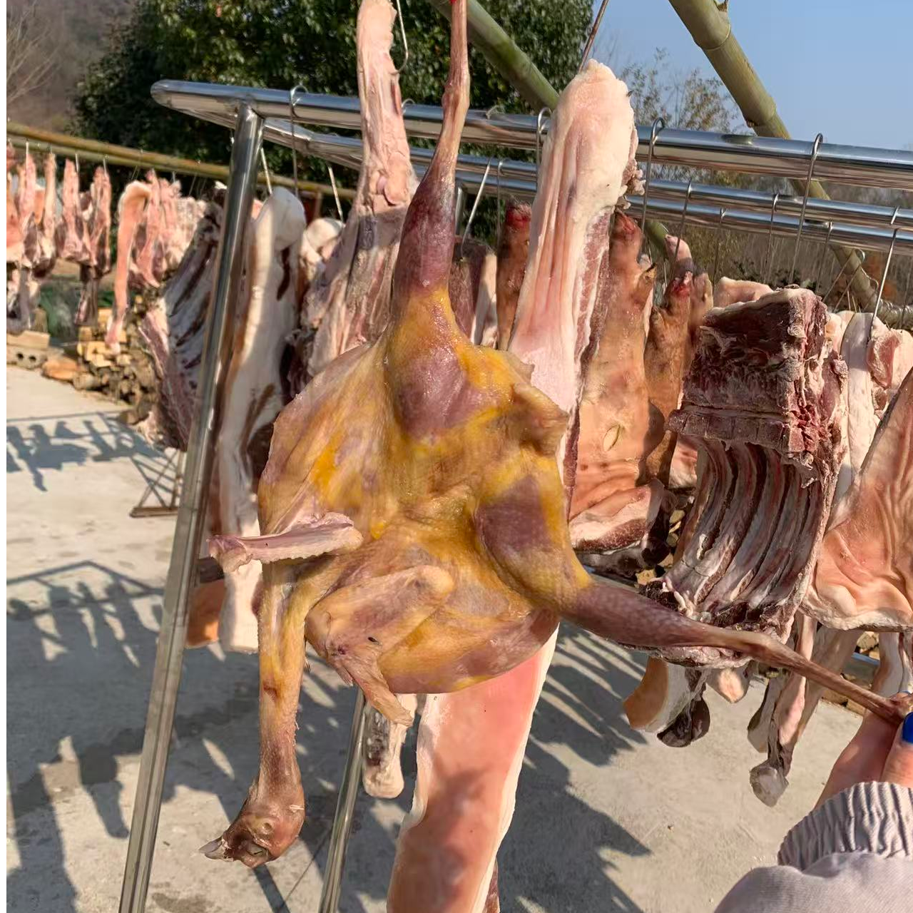 信阳腌制风干七彩山鸡 农家手工腌制咸货腊鸡 土特产  风干一斤多
