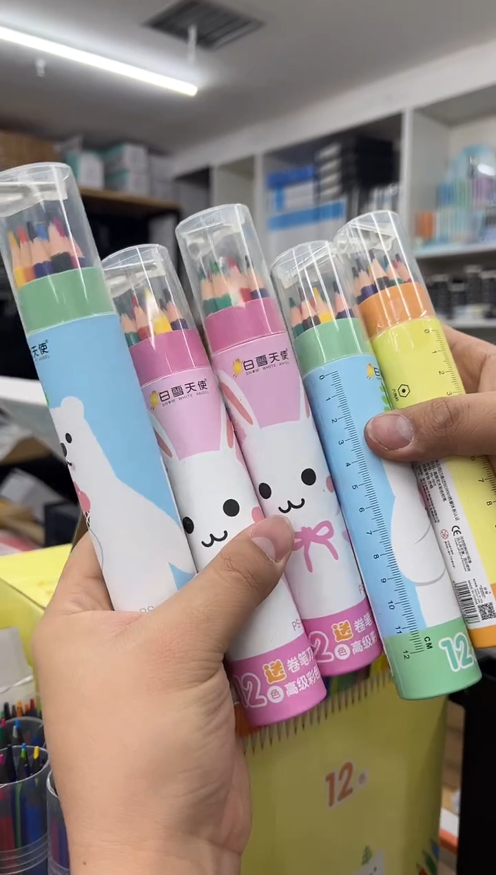 12色可擦彩铅5筒