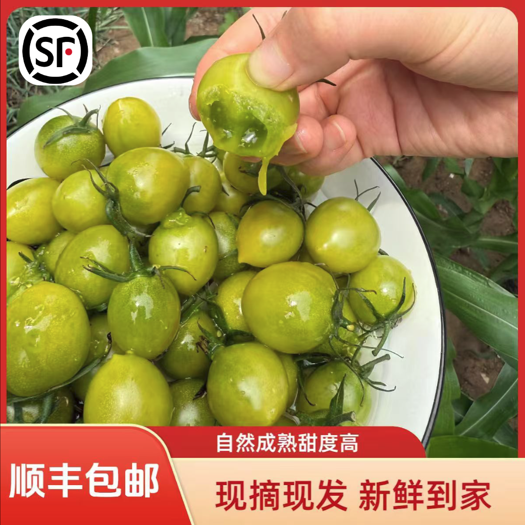 山东青甜二号绿宝石小番茄圣女果产地直发新鲜顺丰京东包邮