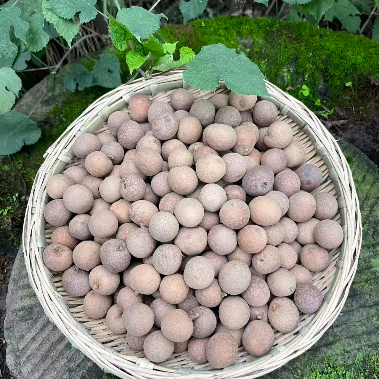 农家老树桂圆干 小核肉厚壳薄 肉甜可泡水炖汤的休闲零食