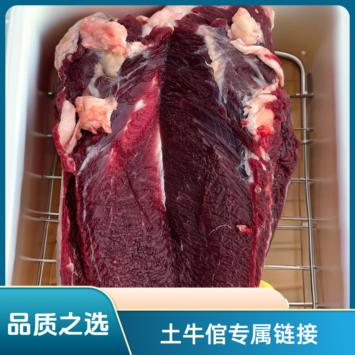 【土牛倌一对一】专属链接以直播间为准土黄牛