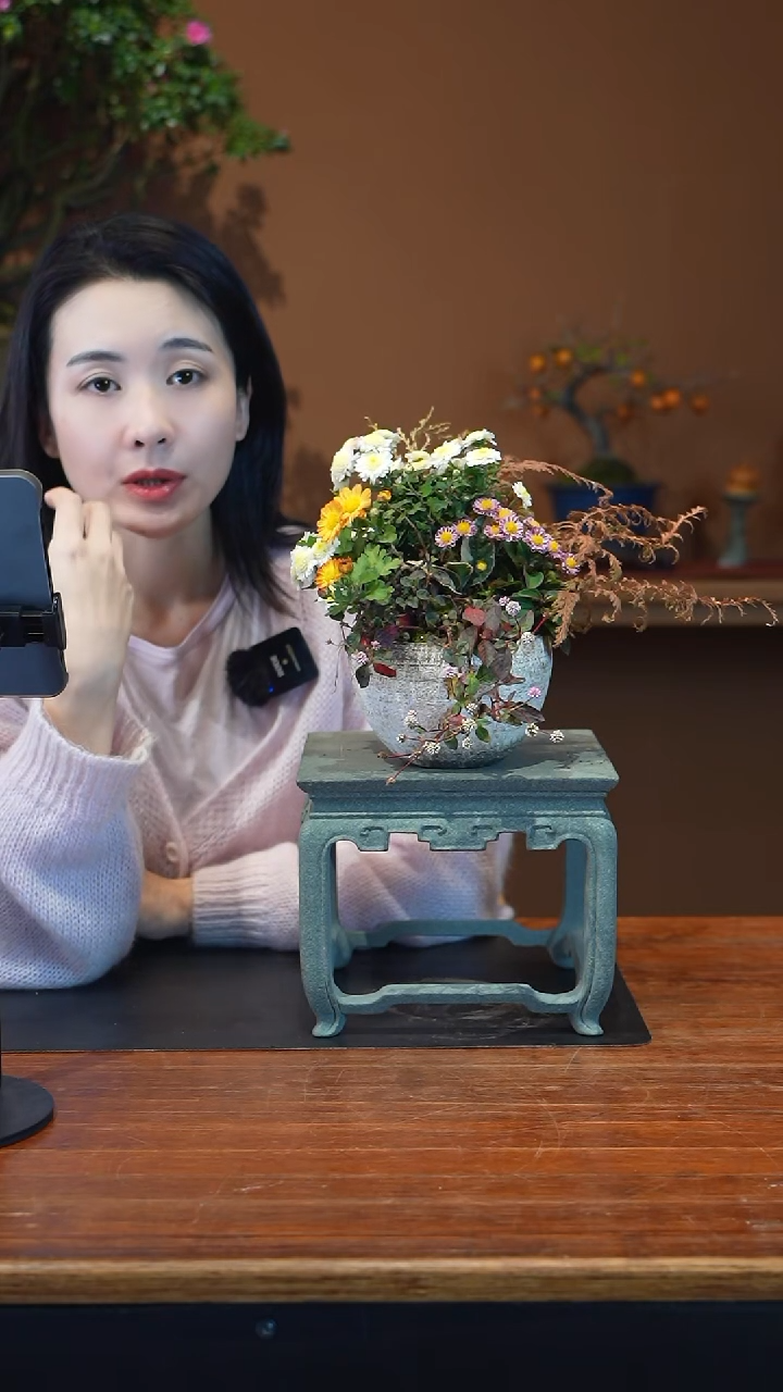 全部花朵山野草盆景盆景盆景