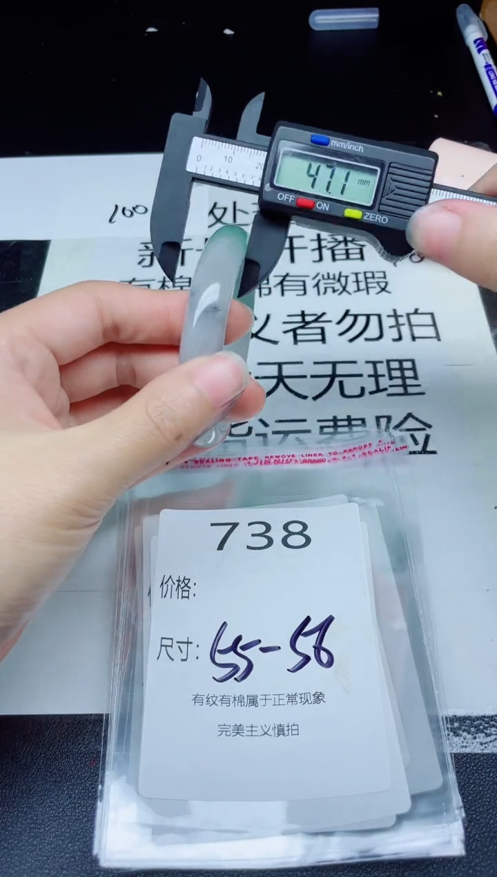 未镶嵌手镯翡翠738