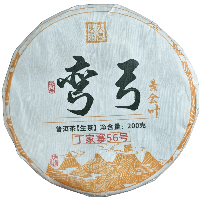 2023年 弯弓黄金叶头春头采生茶饼200g